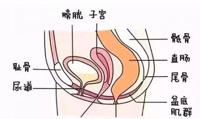 ׽Y(ji)(gu)