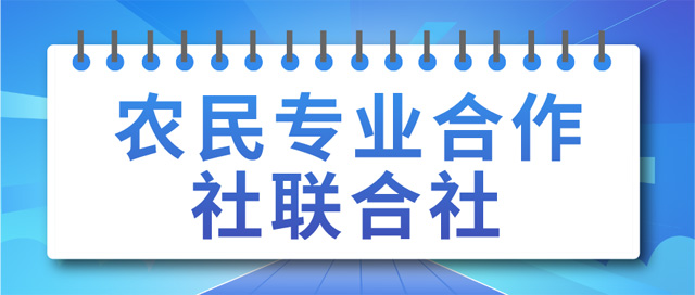 r(nng)(zhun)I(y)(lin)O(sh)ӛlʲô